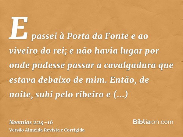 E passei à Porta da Fonte e ao viveiro do rei; e não havia lugar por onde pudesse passar a cavalgadura que estava debaixo de mim.Então, de noite, subi pelo ribe