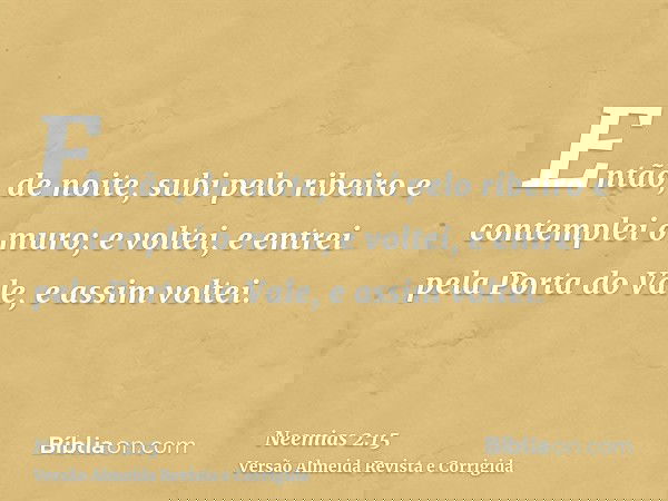 Então, de noite, subi pelo ribeiro e contemplei o muro; e voltei, e entrei pela Porta do Vale, e assim voltei.