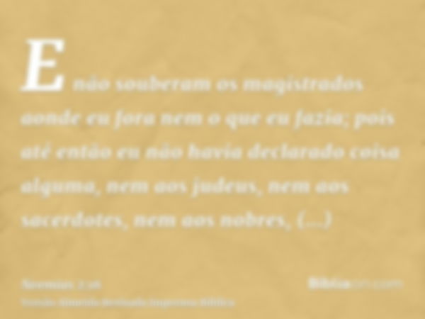 E não souberam os magistrados aonde eu fora nem o que eu fazia; pois até então eu não havia declarado coisa alguma, nem aos judeus, nem aos sacerdotes, nem aos 