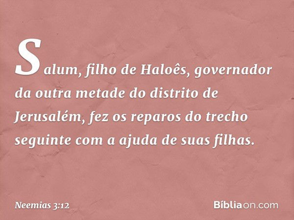 Salum, filho de Haloês, governador da outra metade do distrito de Jerusalém, fez os repa­ros do trecho seguinte com a ajuda de suas filhas. -- Neemias 3:12