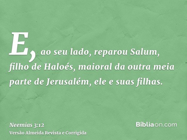 E, ao seu lado, reparou Salum, filho de Haloés, maioral da outra meia parte de Jerusalém, ele e suas filhas.
