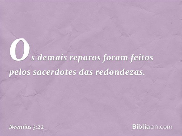 Os demais reparos foram feitos pelos sacerdotes das redondezas. -- Neemias 3:22