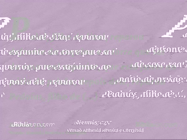 Palal, filho de Uzai, reparou defronte da esquina e a torre que sai da casa real superior, que está junto ao pátio da prisão; depois dele, reparou Pedaías, filh