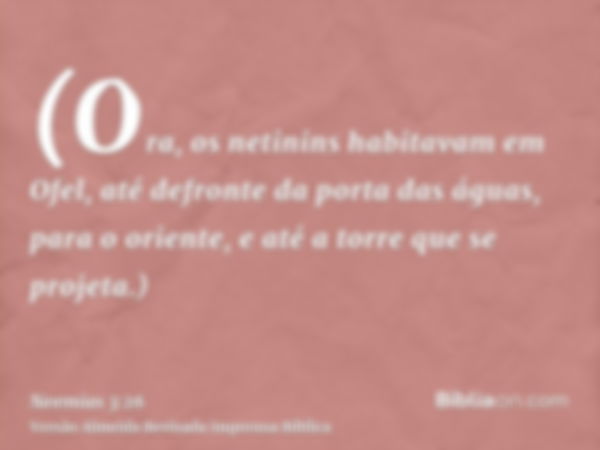 (Ora, os netinins habitavam em Ofel, até defronte da porta das águas, para o oriente, e até a torre que se projeta.)