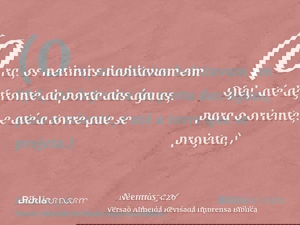 (Ora, os netinins habitavam em Ofel, até defronte da porta das águas, para o oriente, e até a torre que se projeta.)