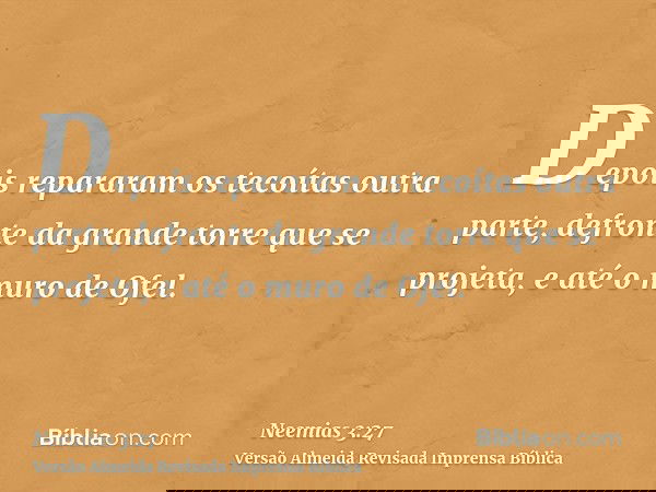 Depois repararam os tecoítas outra parte, defronte da grande torre que se projeta, e até o muro de Ofel.
