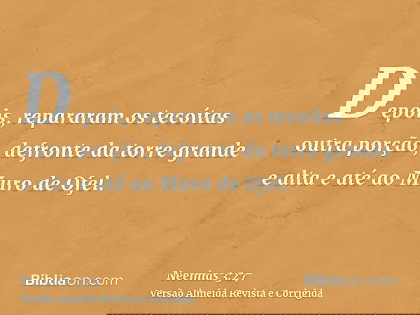 Depois, repararam os tecoítas outra porção, defronte da torre grande e alta e até ao Muro de Ofel.