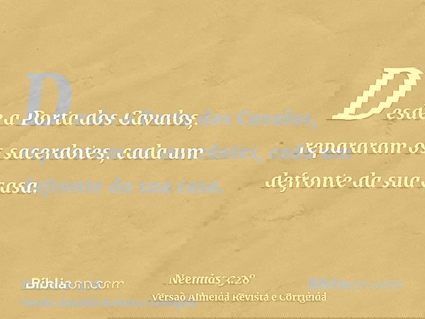 Desde a Porta dos Cavalos, repararam os sacerdotes, cada um defronte da sua casa.