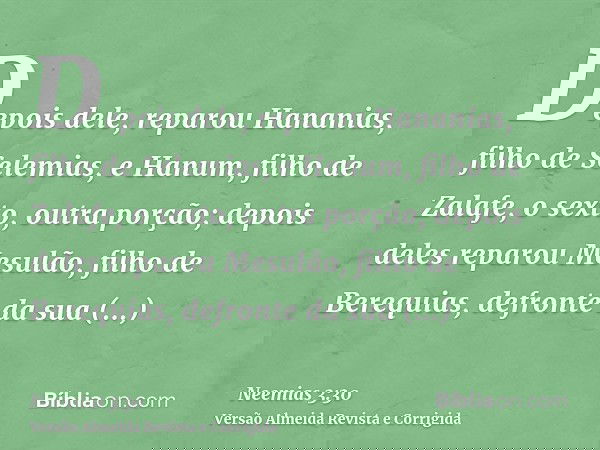 Depois dele, reparou Hananias, filho de Selemias, e Hanum, filho de Zalafe, o sexto, outra porção; depois deles reparou Mesulão, filho de Berequias, defronte da