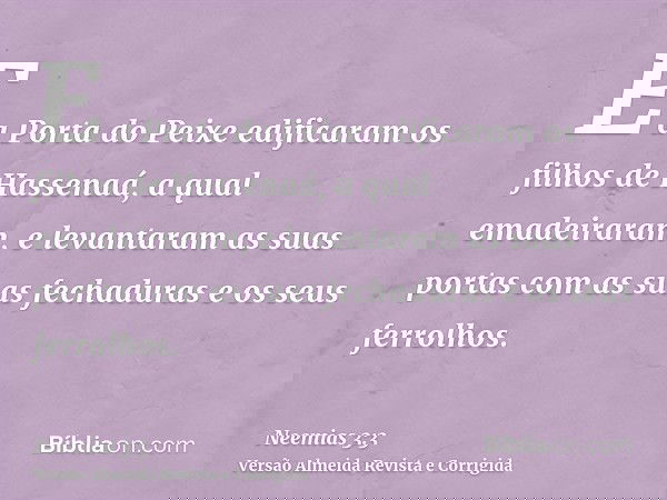 E a Porta do Peixe edificaram os filhos de Hassenaá, a qual emadeiraram, e levantaram as suas portas com as suas fechaduras e os seus ferrolhos.