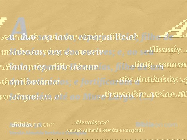 Ao seu lado, reparou Uziel, filho de Haraías, um dos ourives; e, ao seu lado, reparou Hananias, filho de um dos boticários; e fortificaram a Jerusalém até ao Mu