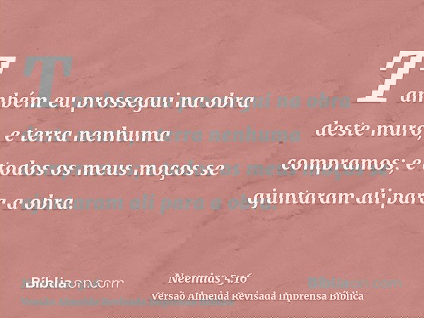 Também eu prossegui na obra deste muro, e terra nenhuma compramos; e todos os meus moços se ajuntaram ali para a obra.