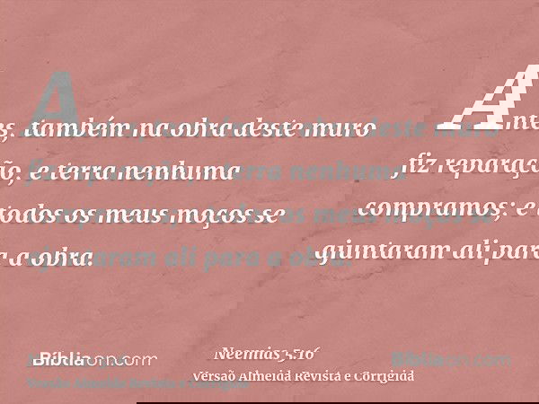 Antes, também na obra deste muro fiz reparação, e terra nenhuma compramos; e todos os meus moços se ajuntaram ali para a obra.