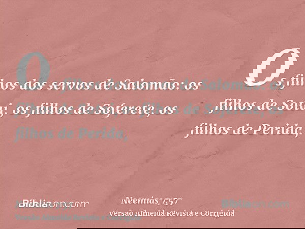 Os filhos dos servos de Salomão: os filhos de Sotai, os filhos de Soferete, os filhos de Perida,