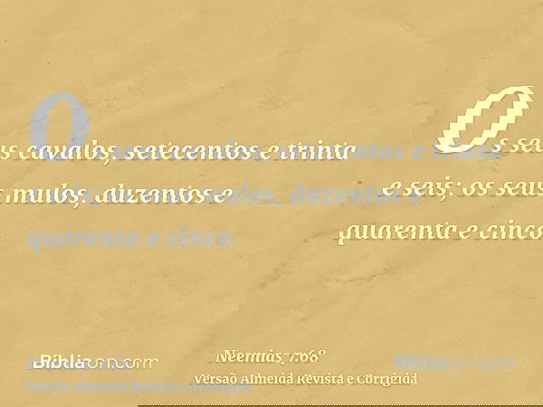 Os seus cavalos, setecentos e trinta e seis; os seus mulos, duzentos e quarenta e cinco.