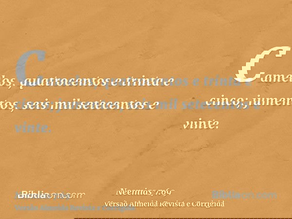 Camelos, quatrocentos e trinta e cinco; jumentos, seis mil setecentos e vinte.