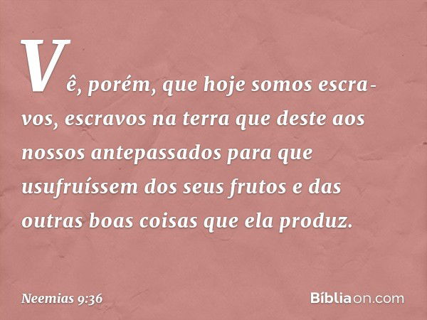 "Vê, porém, que hoje somos escra­vos, escravos na terra que deste aos nossos antepassados para que usufruíssem dos seus frutos e das outras boas coisas que ela 