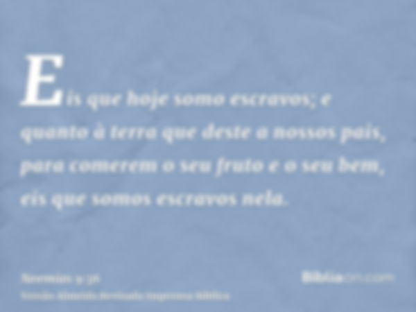 Eis que hoje somo escravos; e quanto à terra que deste a nossos pais, para comerem o seu fruto e o seu bem, eis que somos escravos nela.