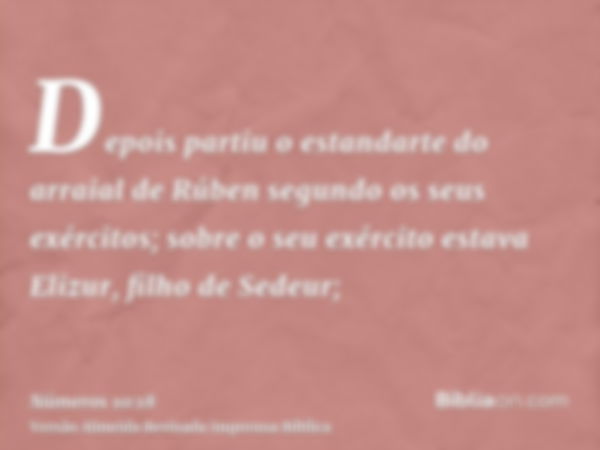 Depois partiu o estandarte do arraial de Rúben segundo os seus exércitos; sobre o seu exército estava Elizur, filho de Sedeur;