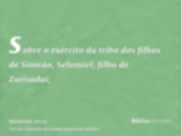 sobre o exército da tribo dos filhos de Simeão, Selumiel, filho de Zurisadai;