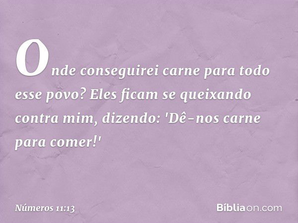 Onde conseguirei carne para todo esse povo? Eles ficam se queixando contra mim, dizendo: 'Dê-nos carne para comer!' -- Números 11:13