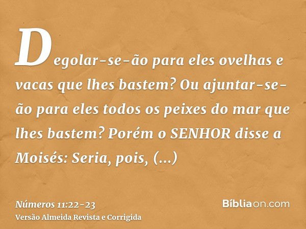 Degolar-se-ão para eles ovelhas e vacas que lhes bastem? Ou ajuntar-se-ão para eles todos os peixes do mar que lhes bastem?Porém o SENHOR disse a Moisés: Seria,