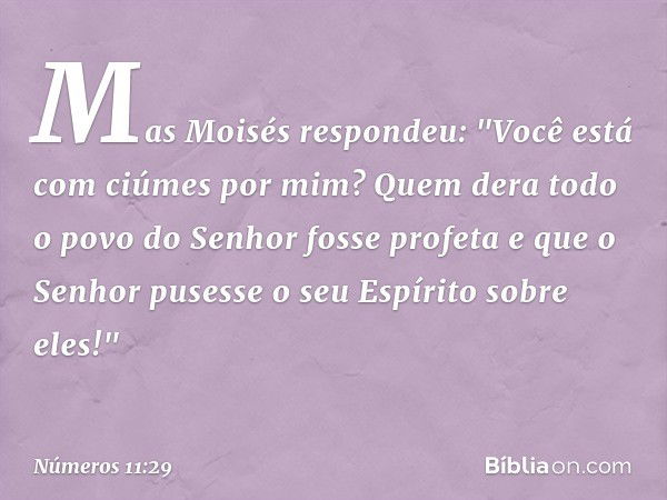 Mas Moisés respondeu: "Você está com ciúmes por mim? Quem dera todo o povo do Senhor fosse profeta e que o Senhor pusesse o seu Espírito sobre eles!" -- Números