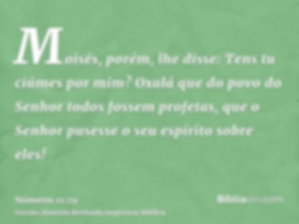 Moisés, porém, lhe disse: Tens tu ciúmes por mim? Oxalá que do povo do Senhor todos fossem profetas, que o Senhor pusesse o seu espírito sobre eles!