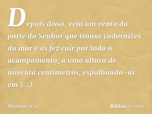 Depois disso, veio um vento da parte do Senhor que trouxe codornizes do mar e as fez cair por todo o acampamento, a uma altura de noventa centímetros, espalhand