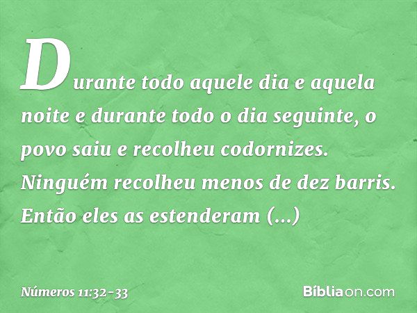 Durante todo aquele dia e aquela noite e durante todo o dia seguinte, o povo saiu e recolheu codornizes. Ninguém recolheu menos de dez barris. Então eles as est