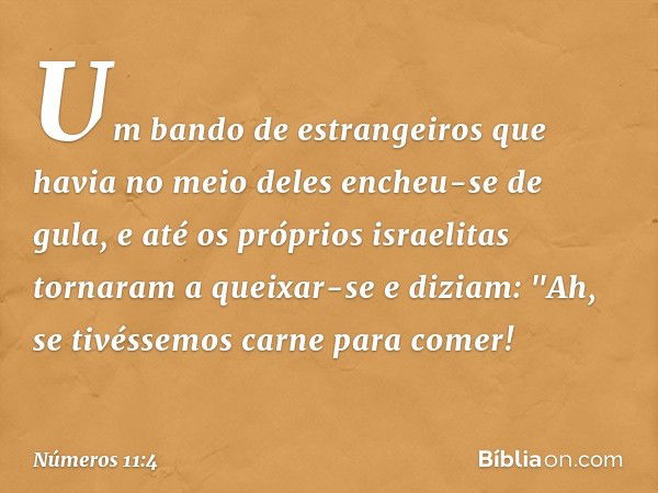 Um bando de estrangeiros que havia no meio deles encheu-se de gula, e até os próprios israelitas tornaram a queixar-se e diziam: "Ah, se tivéssemos carne para c