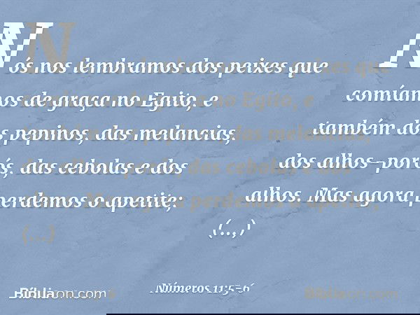 Nós nos lembramos dos peixes que comíamos de graça no Egito, e também dos pepinos, das melancias, dos alhos-porós, das cebolas e dos alhos. Mas agora perdemos o