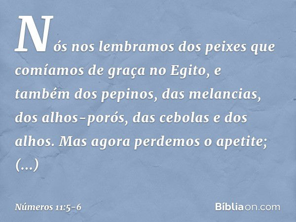 Nós nos lembramos dos peixes que comíamos de graça no Egito, e também dos pepinos, das melancias, dos alhos-porós, das cebolas e dos alhos. Mas agora perdemos o