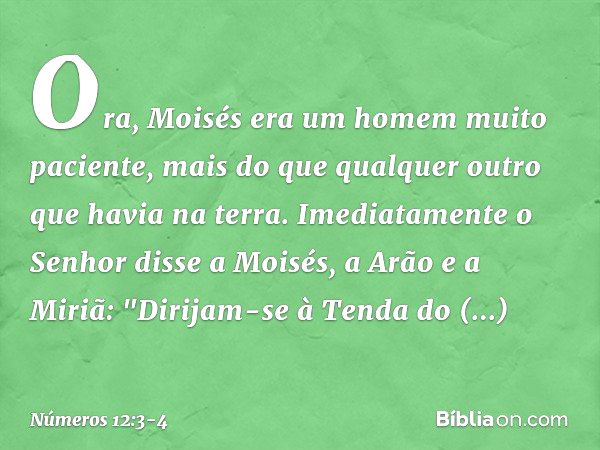 Ora, Moisés era um homem muito paciente, mais do que qualquer outro que havia na terra. Imediatamente o Senhor disse a Moisés, a Arão e a Miriã: "Dirijam-se à T