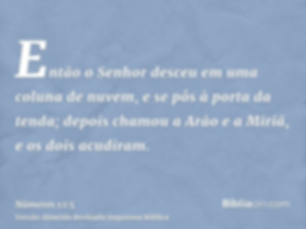 Então o Senhor desceu em uma coluna de nuvem, e se pôs à porta da tenda; depois chamou a Arão e a Miriã, e os dois acudiram.