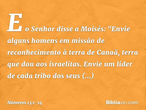 E o Senhor disse a Moisés: "Envie alguns homens em missão de reconhecimento à terra de Canaã, terra que dou aos israelitas. Envie um líder de cada tribo dos seu