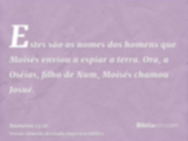 Estes são os nomes dos homens que Moisés enviou a espiar a terra. Ora, a Oséias, filho de Num, Moisés chamou Josué.