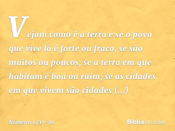 Vejam como é a terra e se o povo que vive lá é forte ou fraco, se são muitos ou poucos; se a terra em que habitam é boa ou ruim; se as cidades em que vivem são 