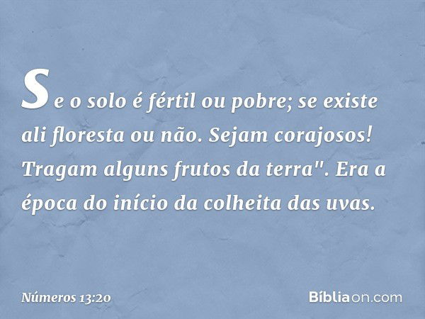 se o solo é fértil ou pobre; se existe ali floresta ou não. Sejam corajosos! Tragam alguns frutos da terra". Era a época do início da colheita das uvas. -- Núme