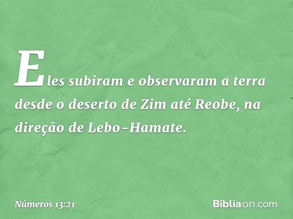 Eles subiram e observaram a terra desde o deserto de Zim até Reobe, na direção de Lebo-Hamate. -- Números 13:21