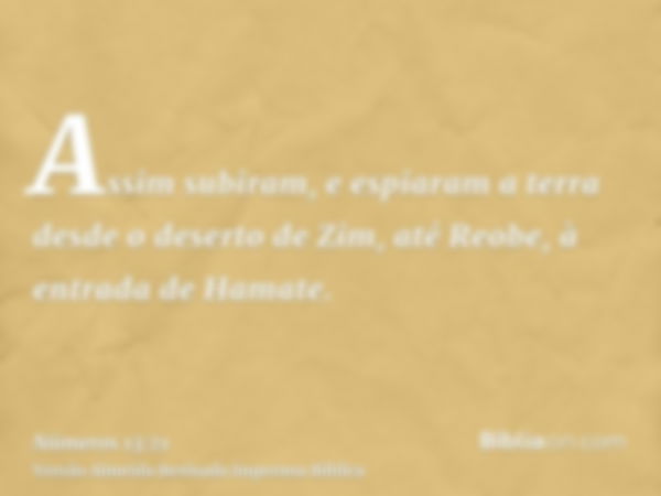 Assim subiram, e espiaram a terra desde o deserto de Zim, até Reobe, à entrada de Hamate.