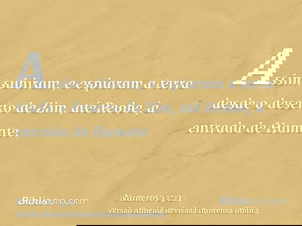 Assim subiram, e espiaram a terra desde o deserto de Zim, até Reobe, à entrada de Hamate.