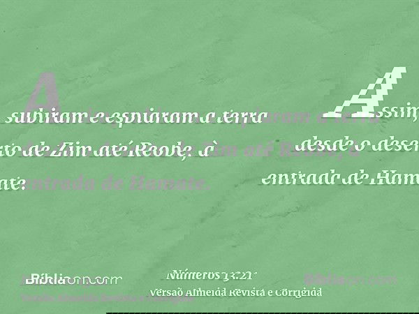 Assim, subiram e espiaram a terra desde o deserto de Zim até Reobe, à entrada de Hamate.