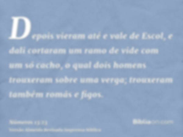 Depois vieram até e vale de Escol, e dali cortaram um ramo de vide com um só cacho, o qual dois homens trouxeram sobre uma verga; trouxeram também romãs e figos