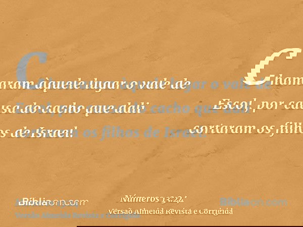 Chamaram àquele lugar o vale de Escol, por causa do cacho que dali cortaram os filhos de Israel.