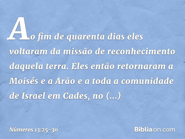 Ao fim de quarenta dias eles voltaram da missão de reconhecimento daquela terra. Eles então retornaram a Moisés e a Arão e a toda a comunidade de Israel em Cade