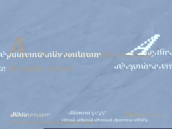 Ao fim de quarenta dias voltaram de espiar a terra.