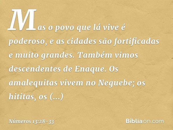 Mas o povo que lá vive é poderoso, e as cidades são fortificadas e muito grandes. Também vimos descendentes de Enaque. Os amalequitas vivem no Neguebe; os hitit