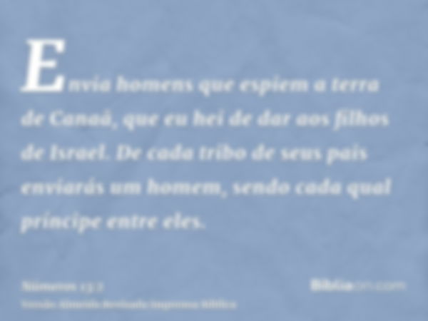 Envia homens que espiem a terra de Canaã, que eu hei de dar aos filhos de Israel. De cada tribo de seus pais enviarás um homem, sendo cada qual príncipe entre e