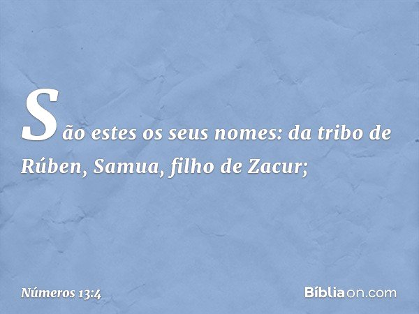 São estes os seus nomes:
da tribo de Rúben, Samua,
filho de Zacur; -- Números 13:4